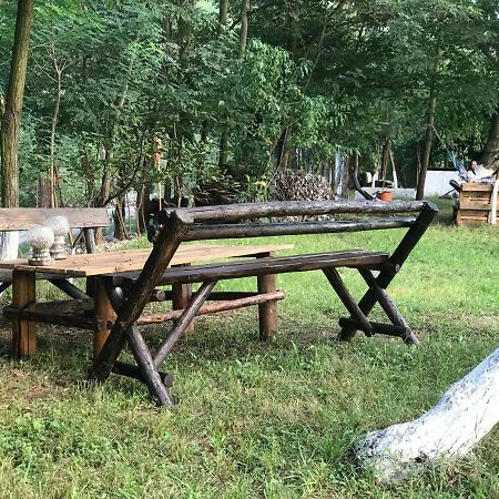Camping In Clisura Dunarii Ieşelniţa 外观 照片