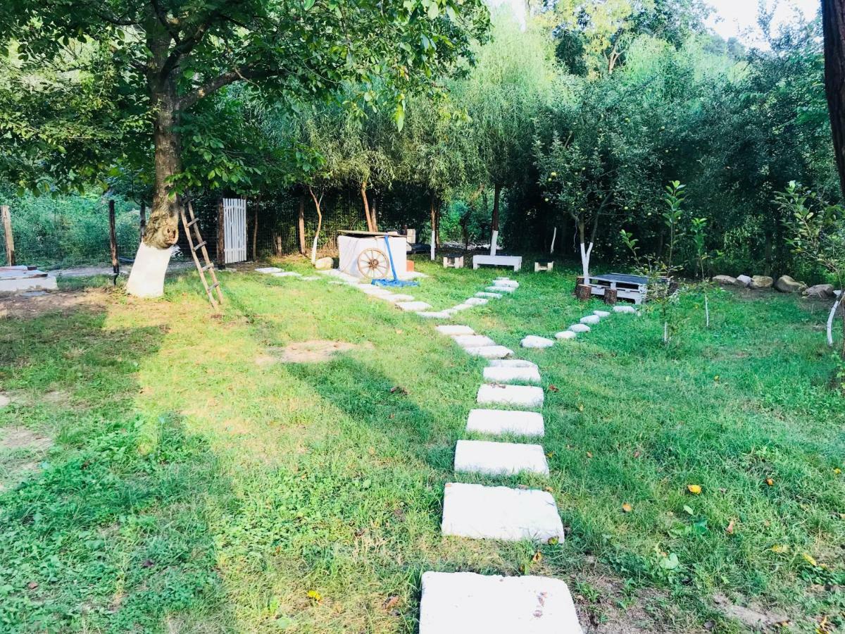 Camping In Clisura Dunarii Ieşelniţa 外观 照片