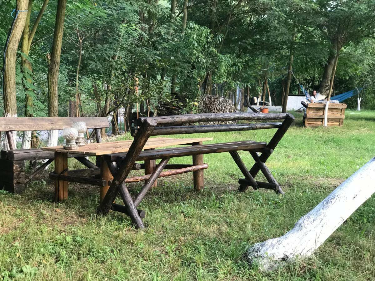 Camping In Clisura Dunarii Ieşelniţa 外观 照片