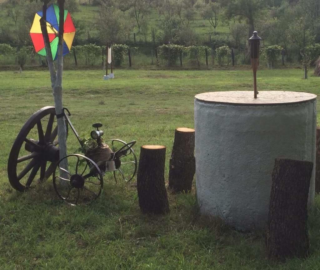 Camping In Clisura Dunarii Ieşelniţa 外观 照片