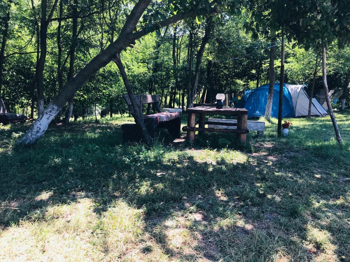 Camping In Clisura Dunarii Ieşelniţa 外观 照片