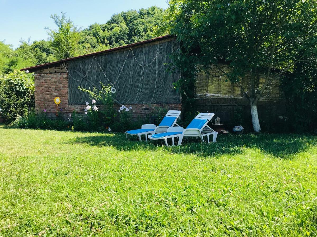 Camping In Clisura Dunarii Ieşelniţa 外观 照片