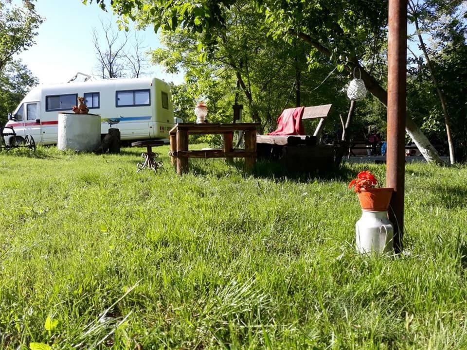 Camping In Clisura Dunarii Ieşelniţa 外观 照片